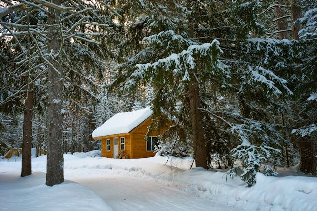 brown house near pine trees in winter