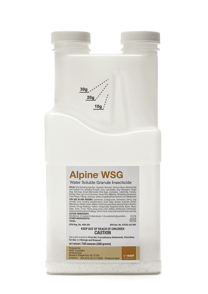 Alpine WSG