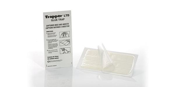 Trapper Max FREE Glue Trap