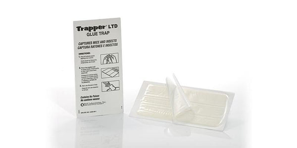 https://www.diypestwarehouse.com/cdn/shop/products/trapper-ltd-mouse-board_600x.jpg?v=1634666409